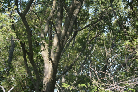 Income Producing Farm in Osage County Kansas - image 20