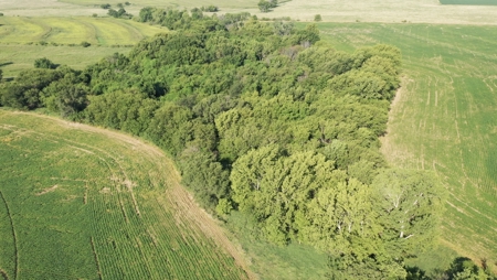 Income Producing Farm in Osage County Kansas - image 13