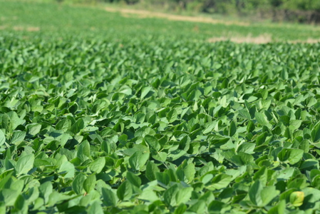 Income Producing Farm in Osage County Kansas - image 10