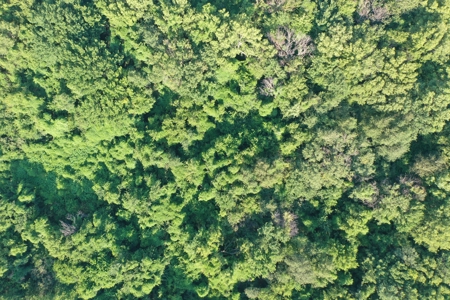 Income Producing Farm in Osage County Kansas - image 8