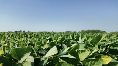 Income Producing Farm in Osage County Kansas - image 4