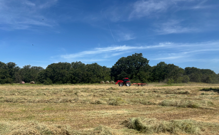 77± Acre Texas Ranch for Sale in Rising Star, TX - image 45