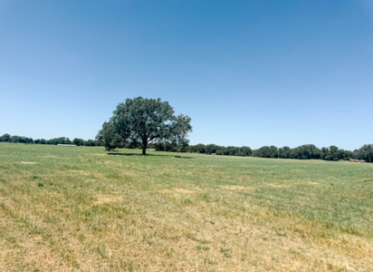77± Acre Texas Ranch for Sale in Rising Star, TX - image 41