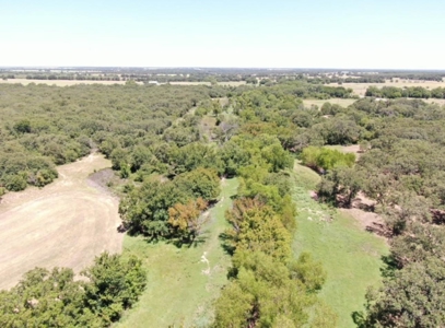 77± Acre Texas Ranch for Sale in Rising Star, TX - image 3