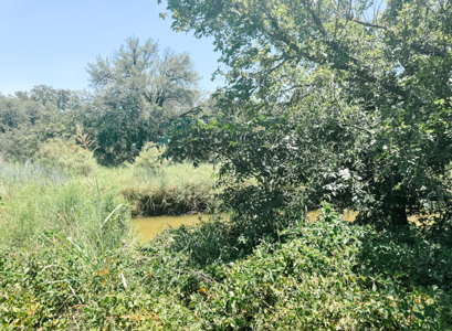 77± Acre Texas Ranch for Sale in Rising Star, TX - image 26