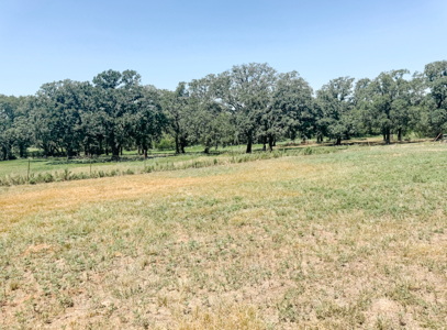 77± Acre Texas Ranch for Sale in Rising Star, TX - image 31