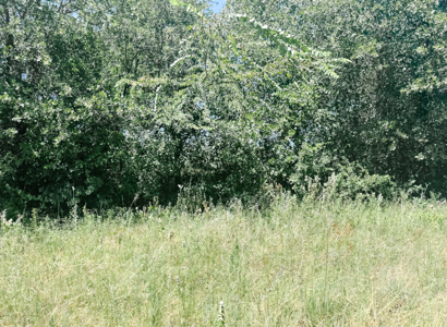77± Acre Texas Ranch for Sale in Rising Star, TX - image 44