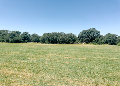 77± Acre Texas Ranch for Sale in Rising Star, TX - image 38