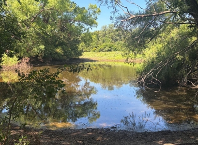 77± Acre Texas Ranch for Sale in Rising Star, TX - image 5