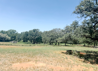77± Acre Texas Ranch for Sale in Rising Star, TX - image 29