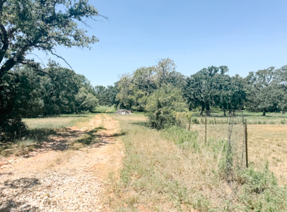 77± Acre Texas Ranch for Sale in Rising Star, TX - image 32
