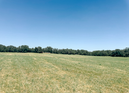 77± Acre Texas Ranch for Sale in Rising Star, TX - image 42