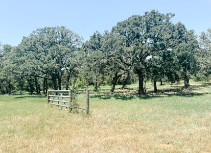 77± Acre Texas Ranch for Sale in Rising Star, TX - image 36