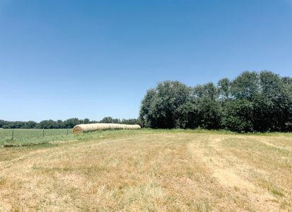 77± Acre Texas Ranch for Sale in Rising Star, TX - image 40