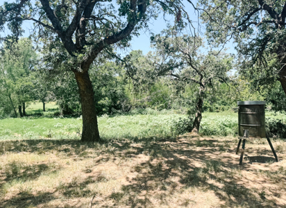77± Acre Texas Ranch for Sale in Rising Star, TX - image 28