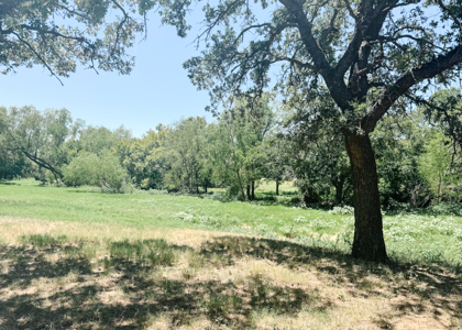 77± Acre Texas Ranch for Sale in Rising Star, TX - image 35