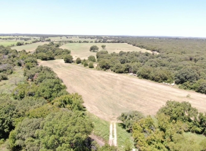 77± Acre Texas Ranch for Sale in Rising Star, TX - image 4