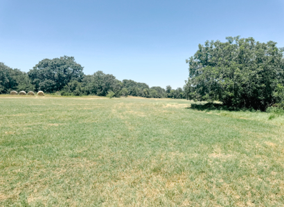 77± Acre Texas Ranch for Sale in Rising Star, TX - image 37