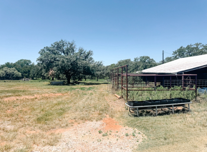 77± Acre Texas Ranch for Sale in Rising Star, TX - image 23