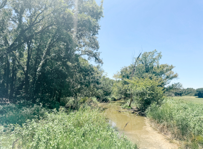 77± Acre Texas Ranch for Sale in Rising Star, TX - image 25