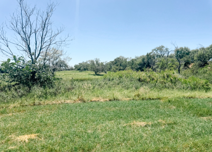 77± Acre Texas Ranch for Sale in Rising Star, TX - image 43