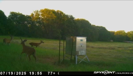 77± Acre Texas Ranch for Sale in Rising Star, TX - image 7