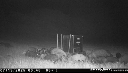 77± Acre Texas Ranch for Sale in Rising Star, TX - image 6