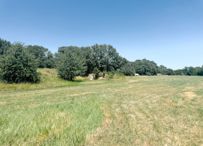 77± Acre Texas Ranch for Sale in Rising Star, TX - image 39