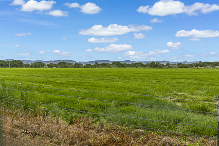 Farmhouse on Productive Acreage – Fruita, CO - image 15