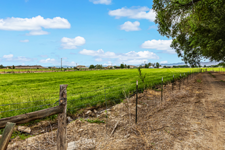 Farmhouse on Productive Acreage – Fruita, CO - image 10