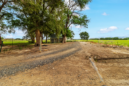 Farmhouse on Productive Acreage – Fruita, CO - image 6