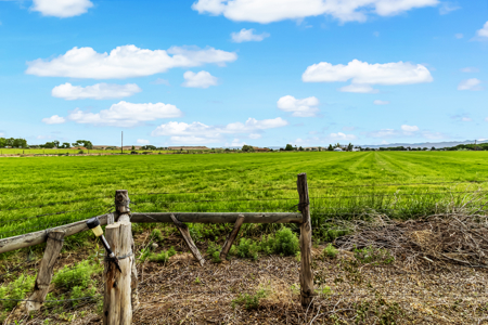 Farmhouse on Productive Acreage – Fruita, CO - image 11