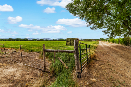 Farmhouse on Productive Acreage – Fruita, CO - image 2