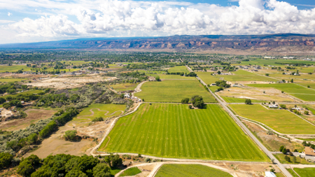 Farmhouse on Productive Acreage – Fruita, CO - image 21