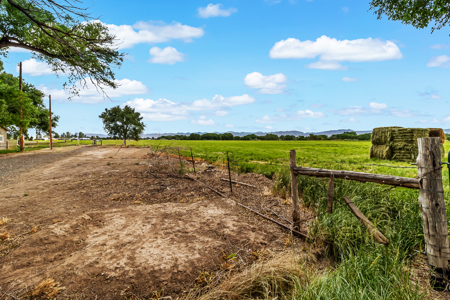 Farmhouse on Productive Acreage – Fruita, CO - image 3