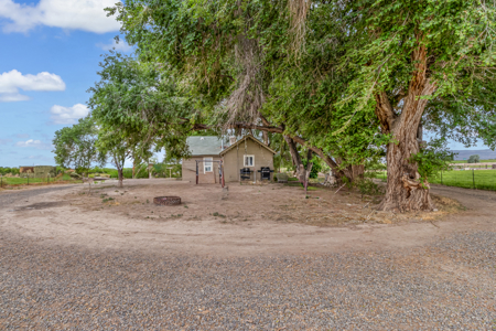 Farmhouse on Productive Acreage – Fruita, CO - image 37