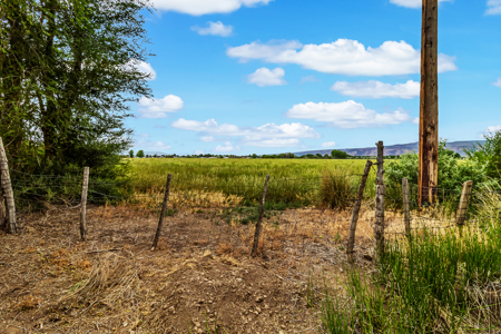 Farmhouse on Productive Acreage – Fruita, CO - image 4