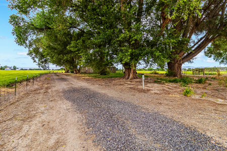 Farmhouse on Productive Acreage – Fruita, CO - image 8