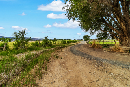 Farmhouse on Productive Acreage – Fruita, CO - image 5
