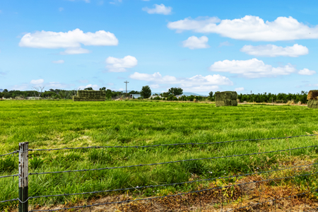 Farmhouse on Productive Acreage – Fruita, CO - image 16
