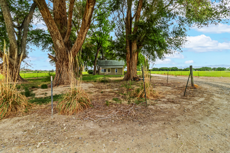 Farmhouse on Productive Acreage – Fruita, CO - image 7