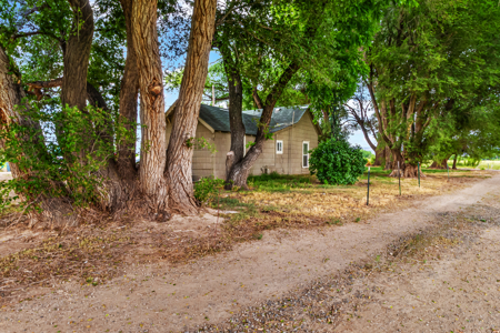 Farmhouse on Productive Acreage – Fruita, CO - image 1