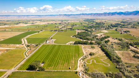 Farmhouse on Productive Acreage – Fruita, CO - image 17