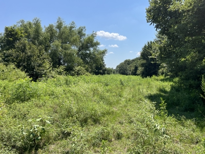 Approximately 24 Acres of Land in Canton, TX – Martin's Mill ISD - image 24