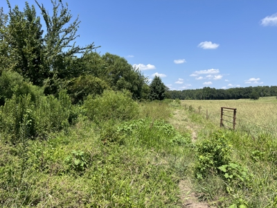 Approximately 24 Acres of Land in Canton, TX – Martin's Mill ISD - image 27