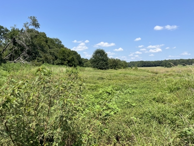 Approximately 24 Acres of Land in Canton, TX – Martin's Mill ISD - image 25