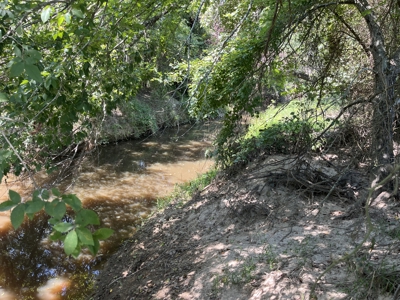 Approximately 24 Acres of Land in Canton, TX – Martin's Mill ISD - image 17