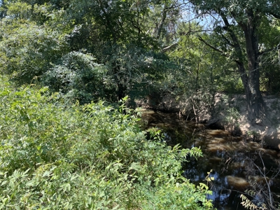 Approximately 24 Acres of Land in Canton, TX – Martin's Mill ISD - image 22