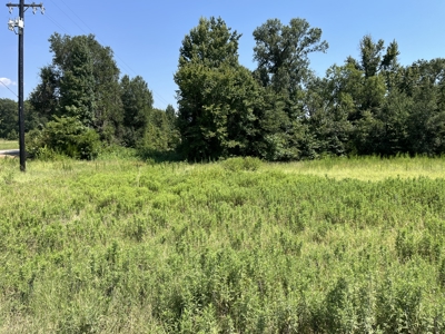 Approximately 24 Acres of Land in Canton, TX – Martin's Mill ISD - image 29