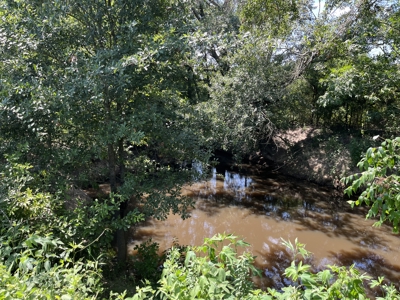 Approximately 24 Acres of Land in Canton, TX – Martin's Mill ISD - image 20
